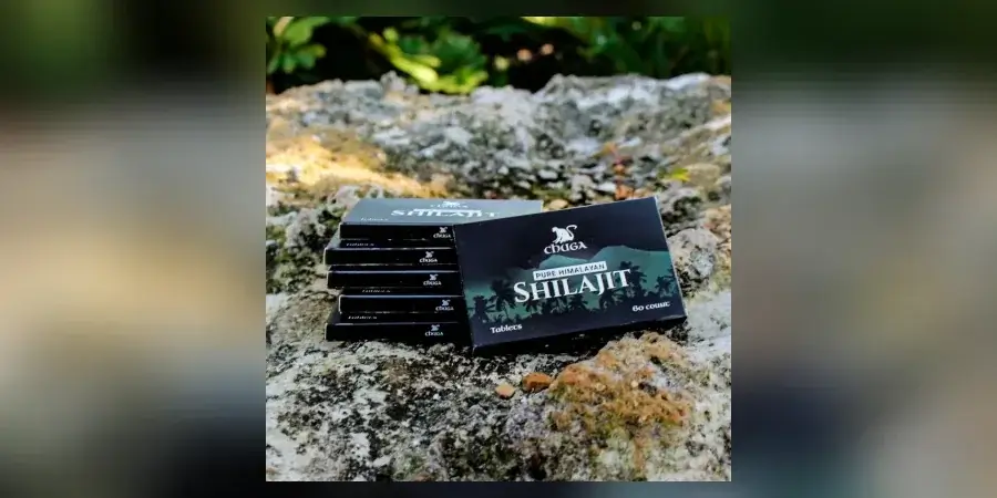 Chuga Shilajit review: pure Himalayan shilajit tablets