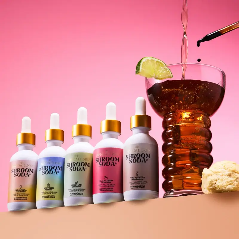 Shroom Soda - Ananda Elixirs